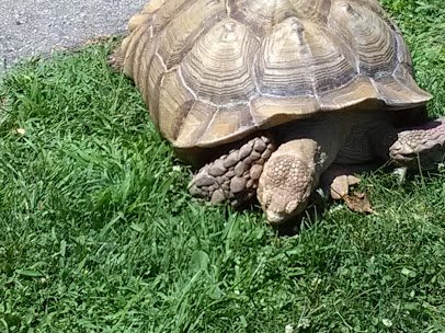 Menominee Park Zoo photo 4