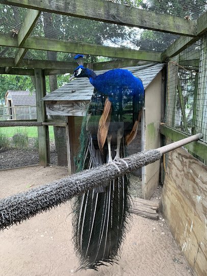 Menominee Park Zoo photo 6