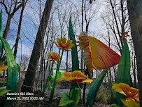 John Ball Zoo - Van Andel Living Shores Aquarium photo 2