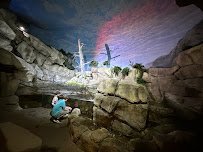 John Ball Zoo - Van Andel Living Shores Aquarium photo 3