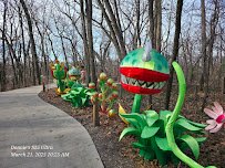 John Ball Zoo - Van Andel Living Shores Aquarium photo 6