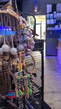 The Fish Tank photo 2