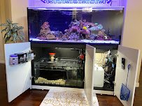 Sublime Aquarium Care