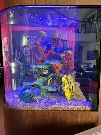 Sublime Aquarium Care photo 3