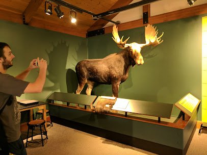 Montshire Museum of Science photo 4