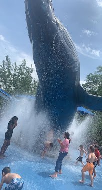 Alaskan Adventure Henry Doorly Zoo