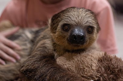 xtreme exotics wildlife foundation photo 4