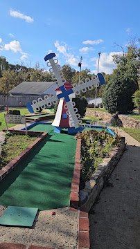 Tiny Town Golf photo 2