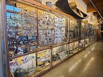 AGFC Witt Stephens Jr. Central Arkansas Nature Center photo 3