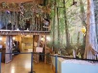 AGFC Witt Stephens Jr. Central Arkansas Nature Center photo 4