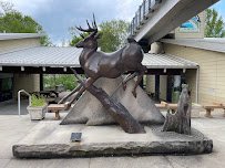 AGFC Witt Stephens Jr. Central Arkansas Nature Center photo 5