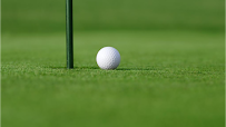 Jungle Lagoon Miniature Golf