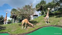 Jungle Lagoon Miniature Golf photo 3
