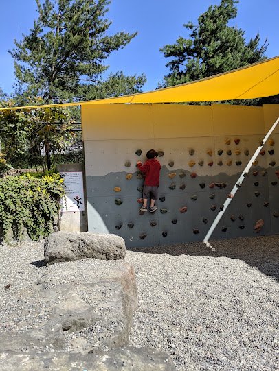 Kids Discovery Museum photo 3