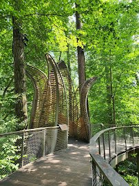 Fernbank Museum | 3D Theater | Forest