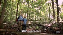Fernbank Museum | 3D Theater | Forest photo 2