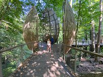 Fernbank Museum | 3D Theater | Forest photo 3