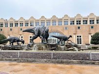 Fernbank Museum | 3D Theater | Forest photo 4