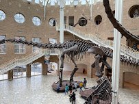Fernbank Museum | 3D Theater | Forest photo 5