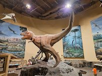 Fernbank Museum | 3D Theater | Forest photo 6