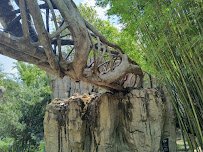 Land of the Tiger photo 4