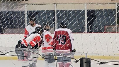 Redford Ice Arena photo 2