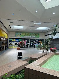 Xtreme Jump Early photo 5