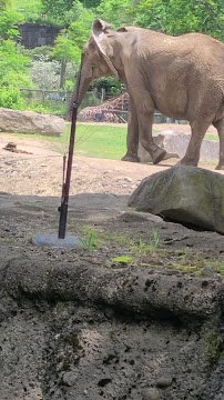 Pittsburgh Zoo & Aquarium photo 2