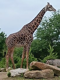 Pittsburgh Zoo & Aquarium photo 3