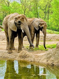 Pittsburgh Zoo & Aquarium photo 4