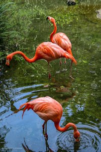 Pittsburgh Zoo & Aquarium photo 5