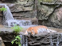 Pittsburgh Zoo & Aquarium photo 6