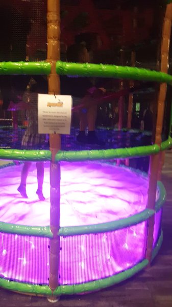 Eagles Nest Indoor Playground photo 2