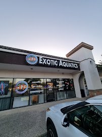 Exotic Aquatics