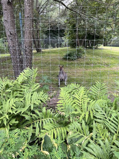 Outback Trail photo 3