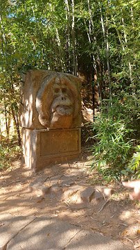 Boo In The Zoo photo 2