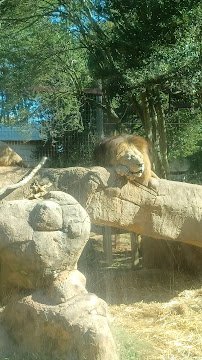 Boo In The Zoo photo 4