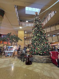 Kalahari Indoor Waterpark photo 6
