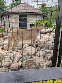 Oxbow Park & Zollman Zoo photo 3