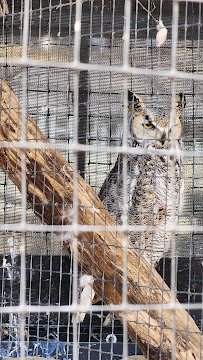 Oxbow Park & Zollman Zoo photo 5