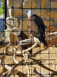 Oxbow Park & Zollman Zoo photo 6