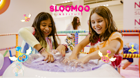 Sloomoo Institute - Chicago