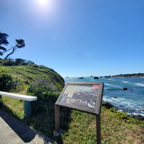 Battery Point Lighthouse and Museum/Crescent City Lighthouse photo 6