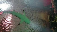 New York Aquarium Education Hall photo 2