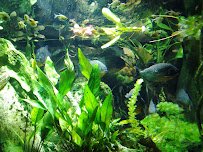 New York Aquarium Education Hall photo 4