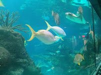 New York Aquarium Education Hall photo 5