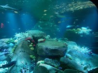 New York Aquarium Education Hall photo 6