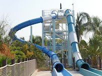 Great Barrier Reef photo 4