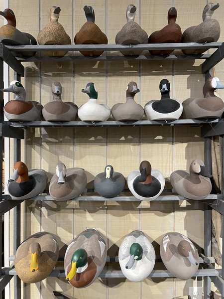 Havre De Grace Decoy Museum photo 3