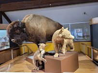 San Bernardino County Museum photo 3